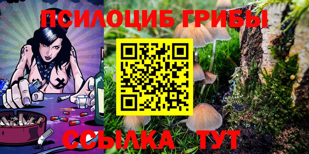 Псилоцибиновые грибы Psilocybine cubensis Дивногорск