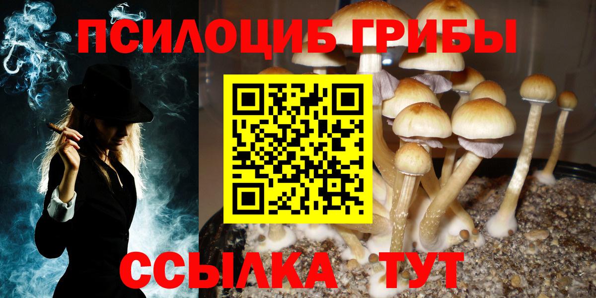 хочу   Вход с VPN  Псилоцибиновые грибы Magic Shrooms  Дивногорск  Галлюциногенные грибы GOLDEN TEACHER 